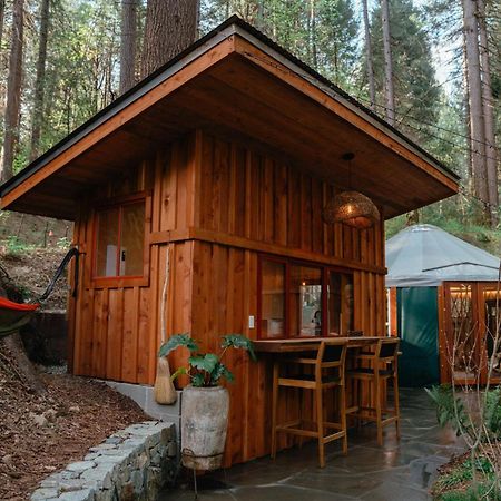 Magical Yurt In The Woods - 2 Miles From Town Hotel Nevada City Exterior foto