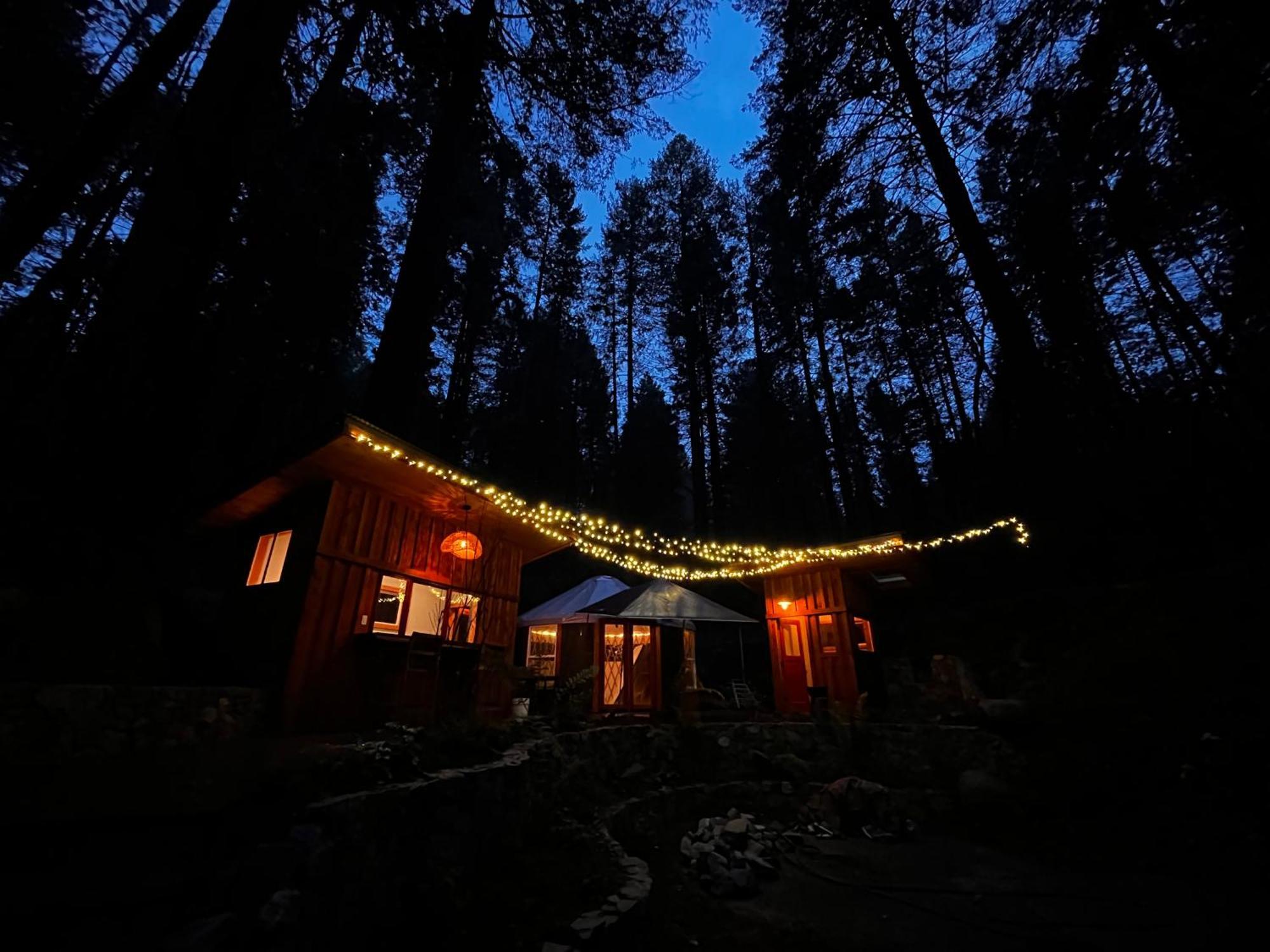Magical Yurt In The Woods - 2 Miles From Town Hotel Nevada City Exterior foto