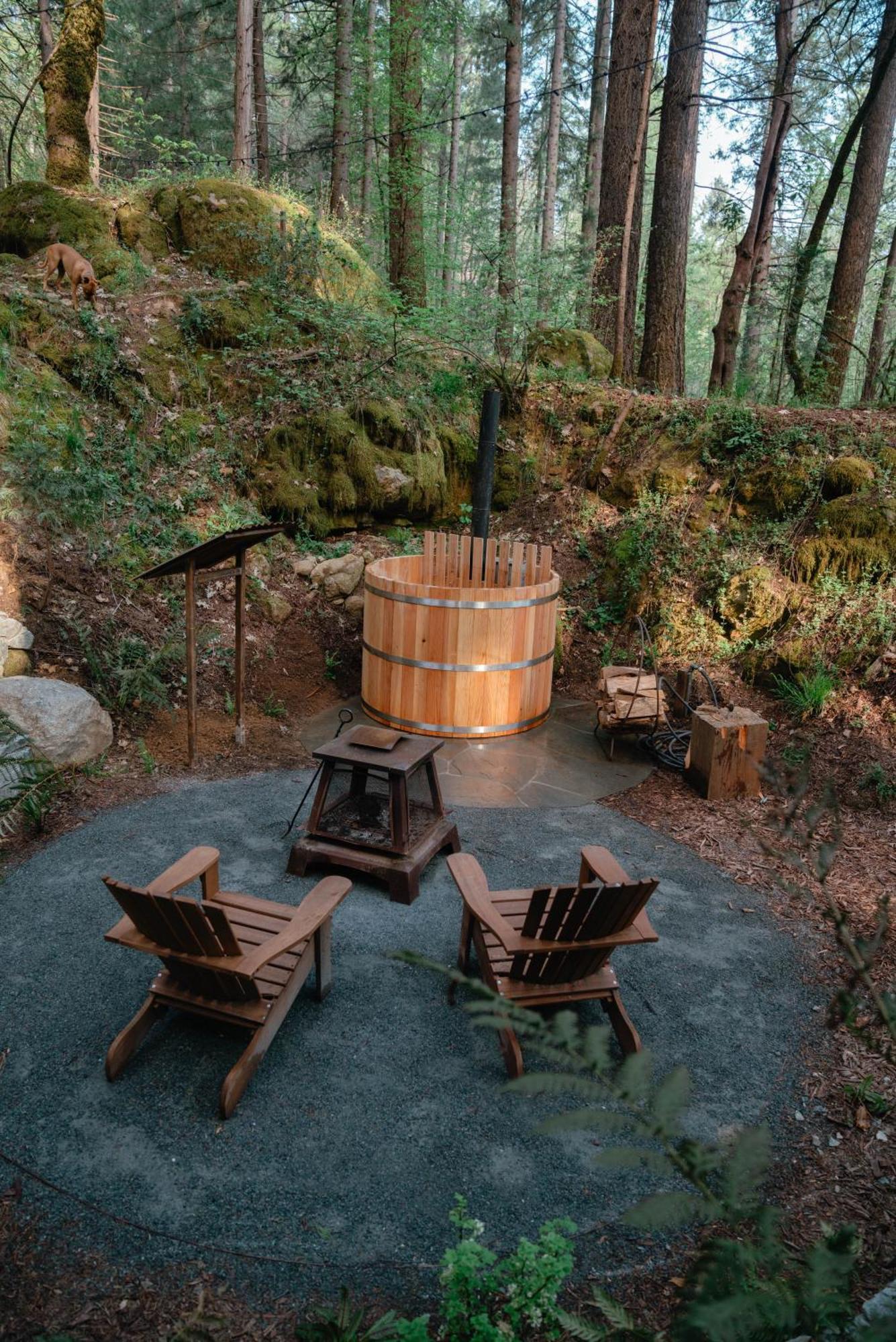 Magical Yurt In The Woods - 2 Miles From Town Hotel Nevada City Exterior foto