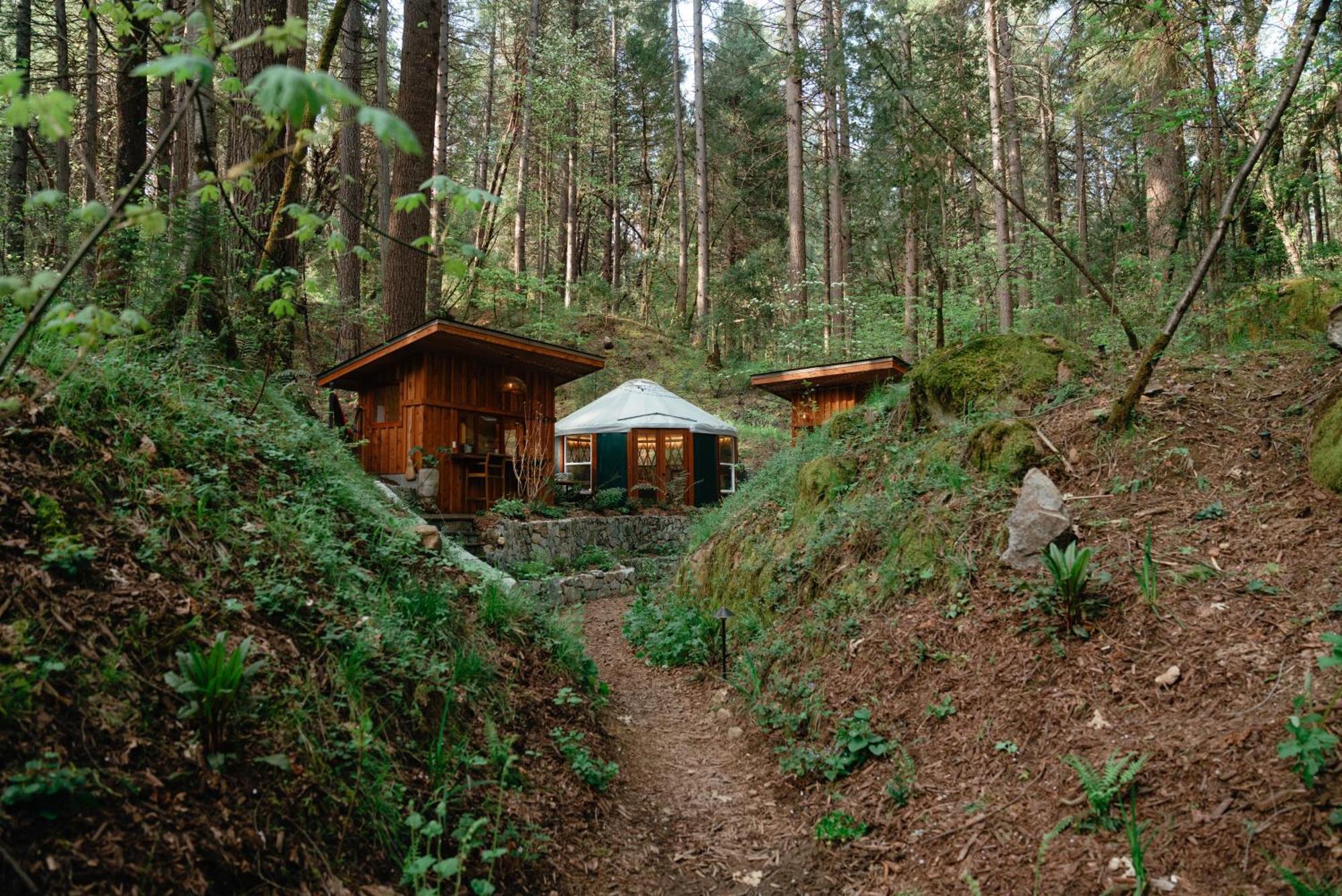 Magical Yurt In The Woods - 2 Miles From Town Hotel Nevada City Exterior foto